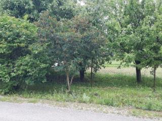 2-этажный коттедж, 200 м², 15.5 соток