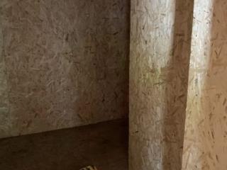 1-комн. квартира, 25 м², 1/2 этаж
