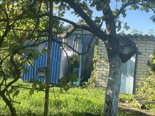 1-этажный дом, 23 м², 9 соток