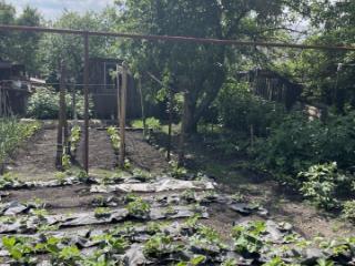 1-этажный дом, 66 м², 6 соток