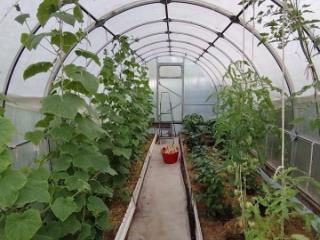 2-этажный дом, 50 м², 6.4 соток