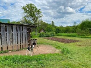 1-этажный дом, 44.2 м², 30 соток