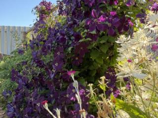 2-этажный дом, 104.4 м², 8.2 соток