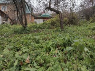 1-этажный дом, 39.8 м², 15 соток