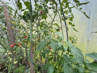  дом, 46.8 м², 11.82 соток