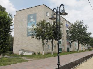 1-комн. квартира, 32.9 м², 4/5 этаж