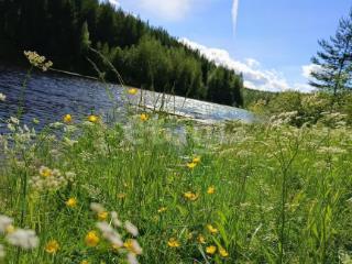  коттедж, 633 м², 6.3 соток