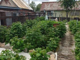  дом, 38.5 м², 15.5 соток