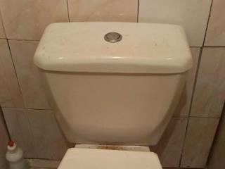 Комната, 53.9 м²