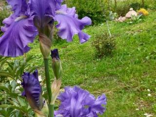 1-этажный дом, 56.4 м², 8.5 соток