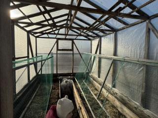  коттедж, 59.4 м², 6 соток