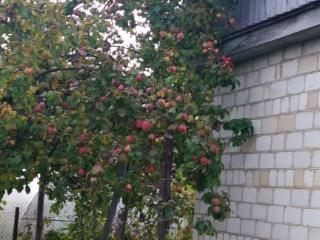  коттедж, 70 м², 5 соток