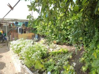 1-этажный дом, 72.9 м², 3.5 сотки