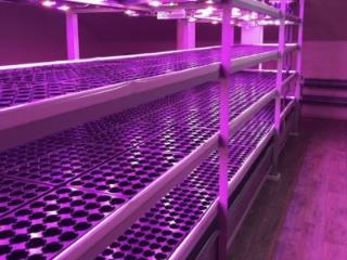 2-этажный дом, 229.8 м², 6.6 соток