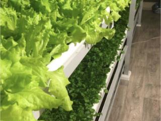 2-этажный дом, 229.8 м², 6.6 соток