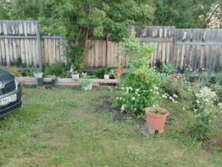 1-этажный дом, 19 м², 10 соток