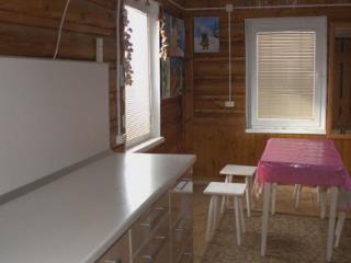  дом, 20 м², 25 соток