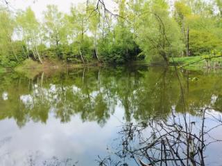 1-этажный дом, 20 м², 13 соток