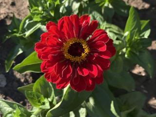 2-этажный дом, 104.4 м², 8.2 соток