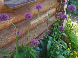 2-этажный дом, 78.2 м², 5.28 соток