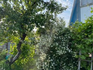  коттедж, 20 м², 4 сотки