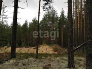 2-этажный дом, 224 м², 32 сотки