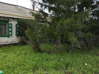  дом, 41 м², 21 сотка