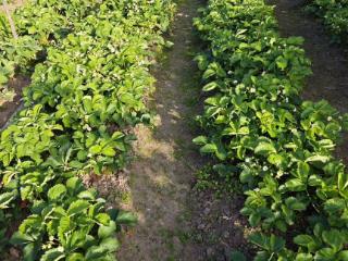  коттедж, 15 м², 6 соток