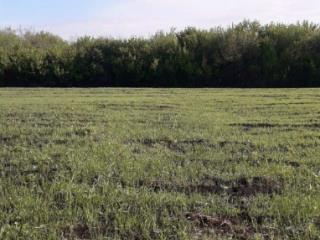 1-этажный дом, 52 м², 50 соток