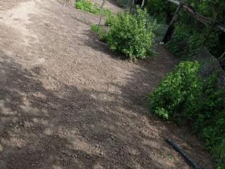  дом, 59 м², 25 соток