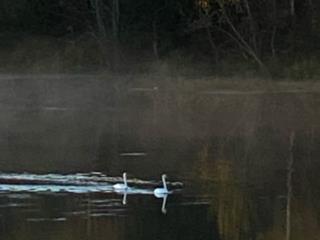 1-этажный дом, 25.3 м², 37 соток