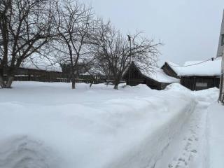  дом, 60 м², 50 соток