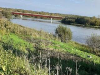 1-этажный дом, 36 м², 29 соток