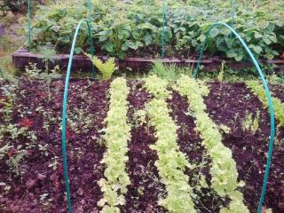 2-этажный дом, 61.5 м², 10.51 соток