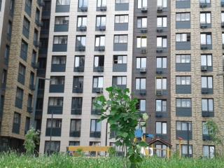 Студия, 36.8 м², 2/8 этаж