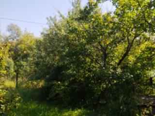 1-этажный дом, 45 м², 10 соток