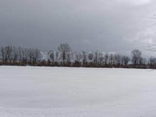  дом, 220 м², 8 соток