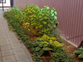  дом, 60 м², 3 сотки