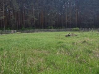 1-этажный дом, 50.4 м², 20 соток