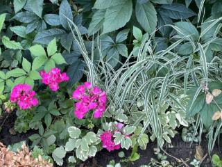 1-этажный дом, 23 м², 9 соток