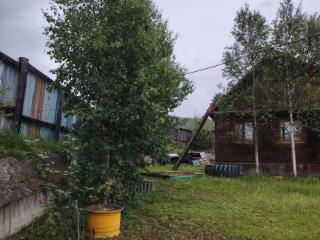  дом, 49 м², 15 соток