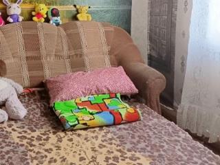 1-этажный дом, 80 м², 12 соток