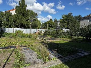  коттедж, 223.3 м², 15 соток