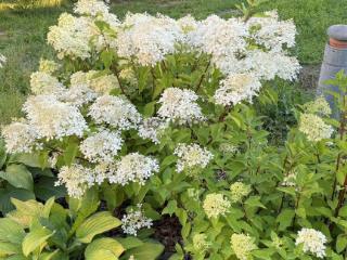  дом, 118.6 м², 12 соток