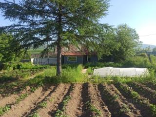 1-этажный дом, 31 м², 6 соток