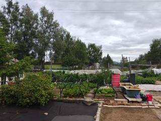  дом, 38.5 м², 15.5 соток