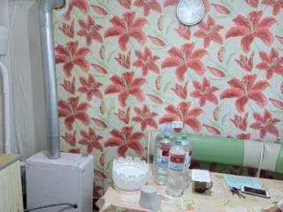 1-этажный дом, 37.4 м², 10 соток