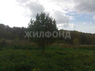  дом, 35.6 м², 15 соток