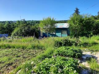 2-этажный дом, 50 м², 12 соток