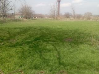 1-этажный дом, 55 м², 30 соток